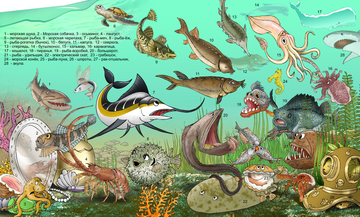 Список морских рыб и гадов, задействованных в книге