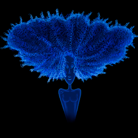 Треугольная женщина. Силуэт