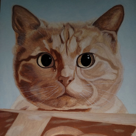 Портрет рыжего кота