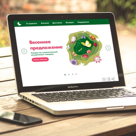 Пример размещения иллюстрации