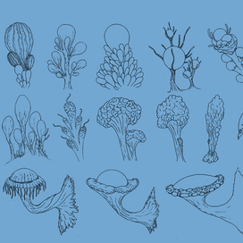 Сапфировый мир