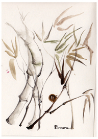 Улитка на стебле бамбука