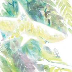 Домашняя акула (5)