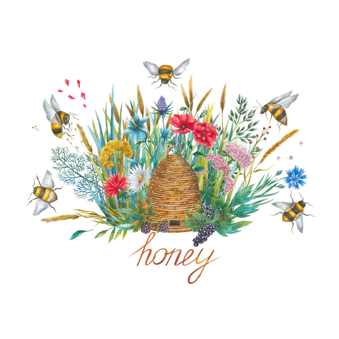 Иллюстрации для дизайна посуды