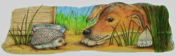 Это миска для собак!