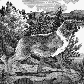 Зов предков. Титул