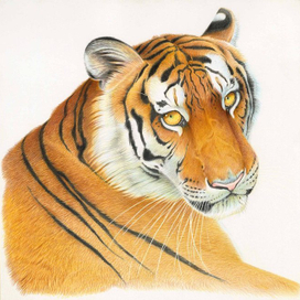 Календарь. Октябрь