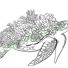 Подборка иллюстраций для раскрасок