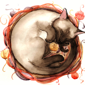 Спящий котик