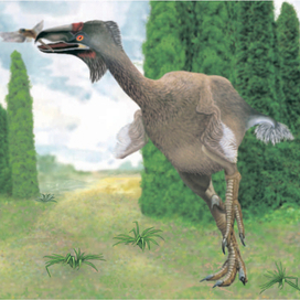 Мир без людей