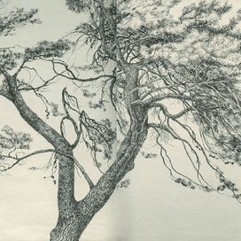 Учебник биологии