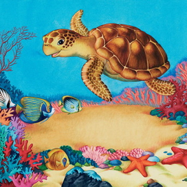 "Коралловый рай"