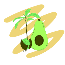 art_avocado