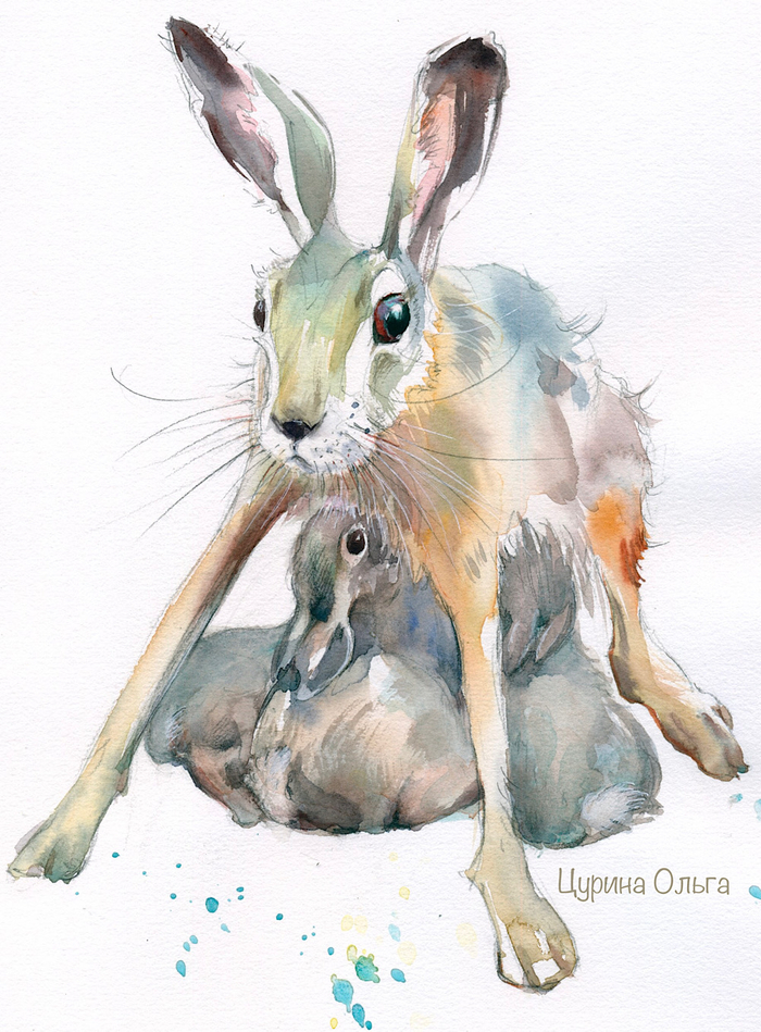 Сосунки в снегу