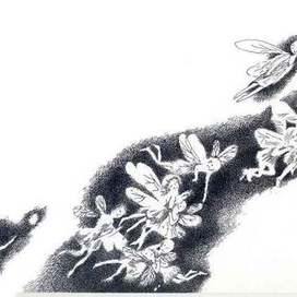 К повести Софьи Прокофьевой "Тайна железного дерева" изд-во ТриМаг