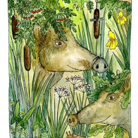 В дебрях заповедного лета