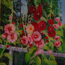 просто мальвы