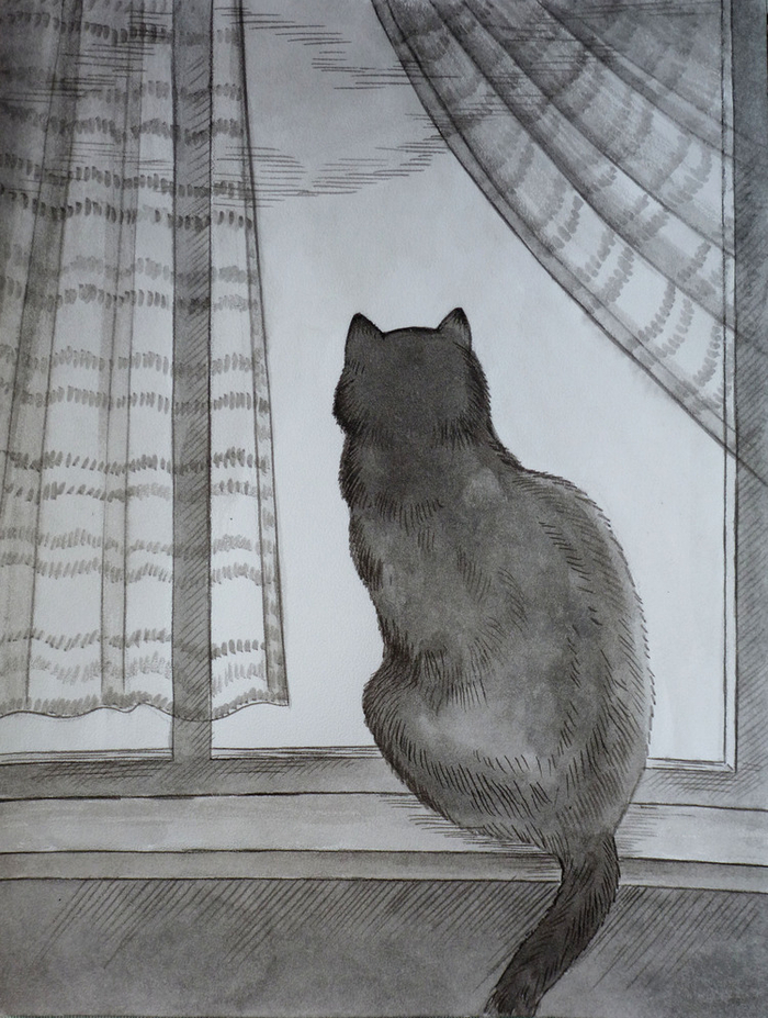 Сидит кошка на окошке...