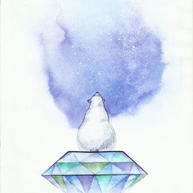 Мишка на севере