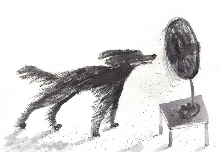 Пёс  и вентилятор 