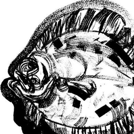 Scophthalmus maeoticus