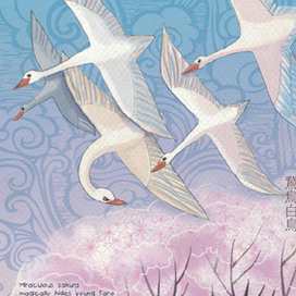 Новые сказки мира в кимоно-2019