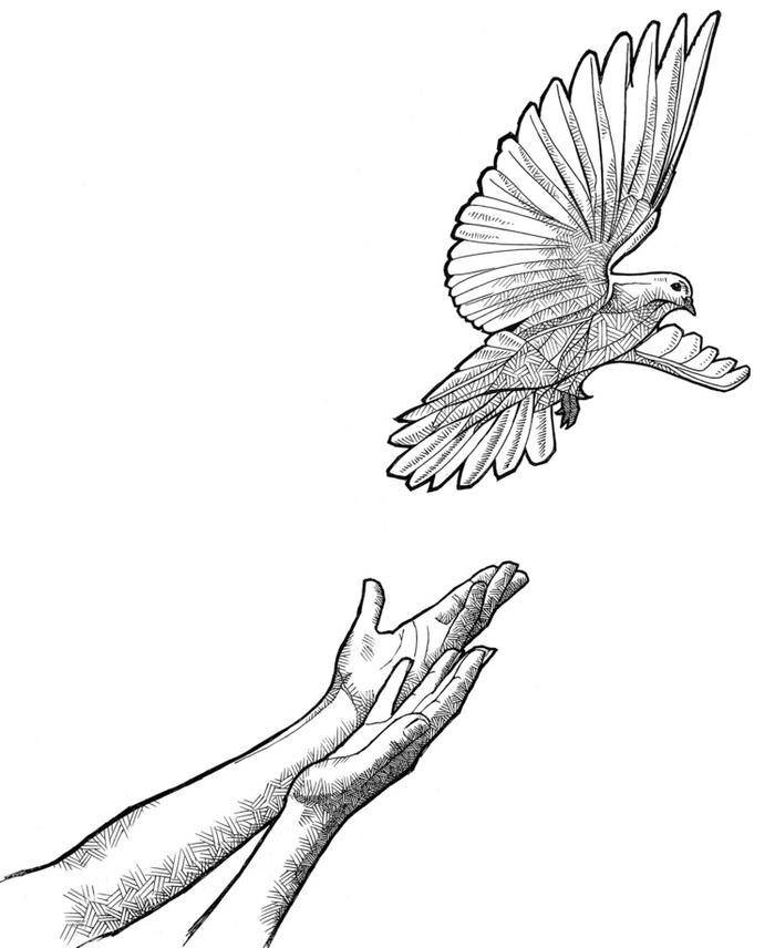 голубьвзлетающийсруквясныйпогожийдень