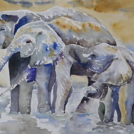 Семейство слонов