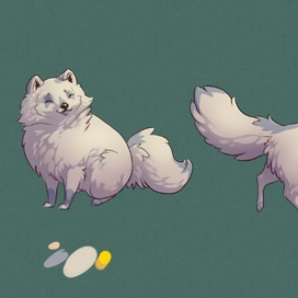 Дизайн песца