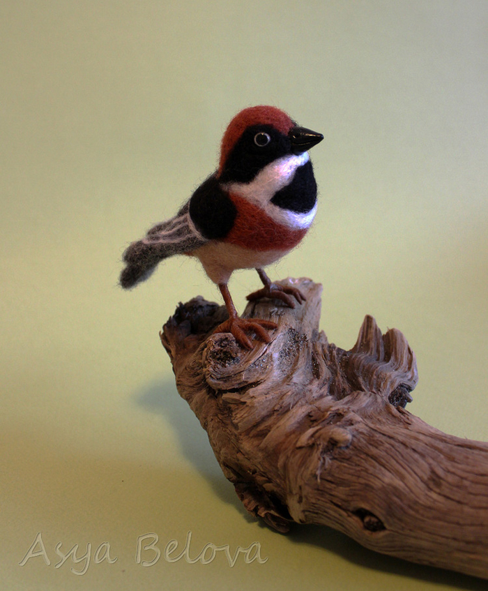 Чернозобая синица