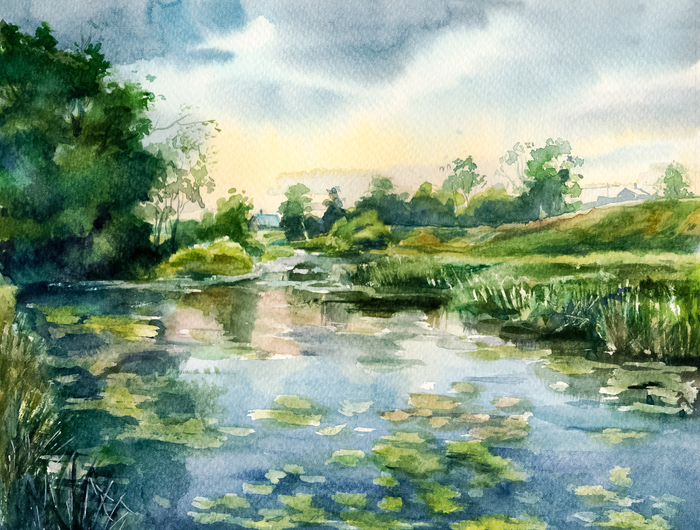 "Заросший пруд. После дождя"