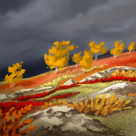 Краски тундры 