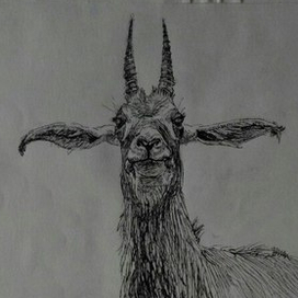 Гордый козёл