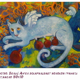 (без названия)