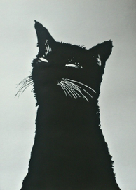 black cat