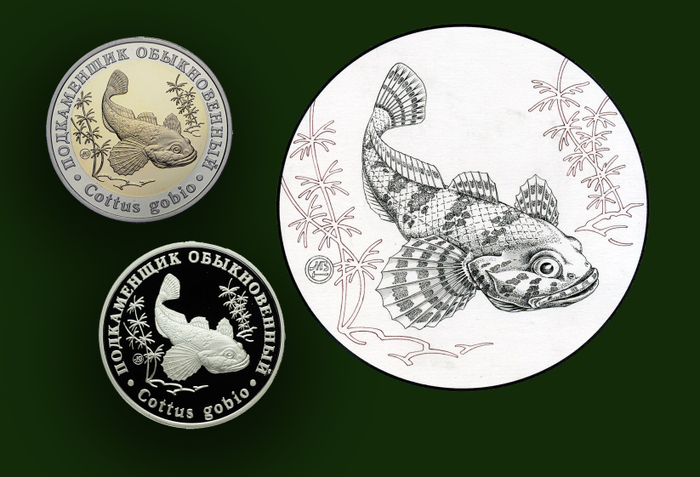 Подкаменщик обыкновенный Серия "Красная Книга СССР"