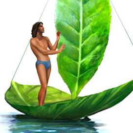 Иллюстрация для сайта о чае.