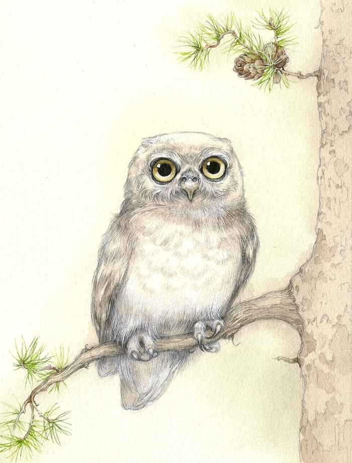 еще один фрагмент,чтоб лучше рассмотреть)