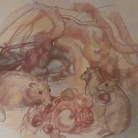 Компаньоль