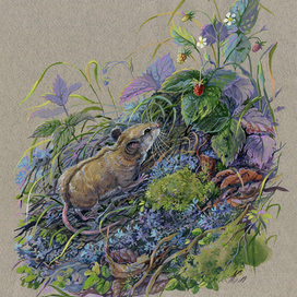 За земляничкой