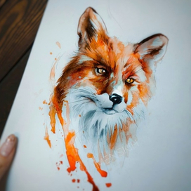 Fox