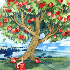 Яблоня "Гуси-Лебеди"