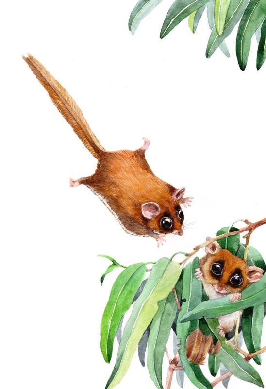 К книге про самых маленьких. 