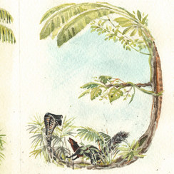 Буквицы к "Книге джунглей"