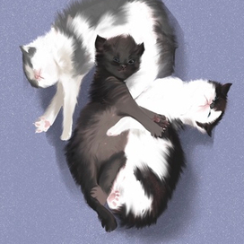 Ребятки котятки 