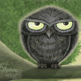Сова по имени Арбуз