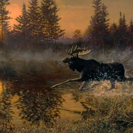 Зов соперника.