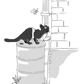 путешествие на крышу