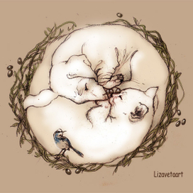 символ мира