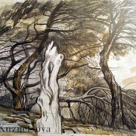 Крымские сосны